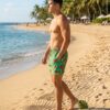 Watermelon Party SwimShorts P168  مايوه بطيخ فريش